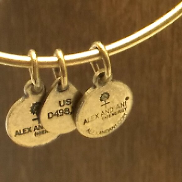 Alex and Ani Initial 'W' Charm Bangle Bracelet Rafaelian Gold Finish Expandable - Picture 9 of 11